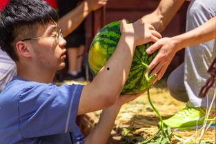 民族大学吃瓜视频,揭秘校园生活趣味瞬间