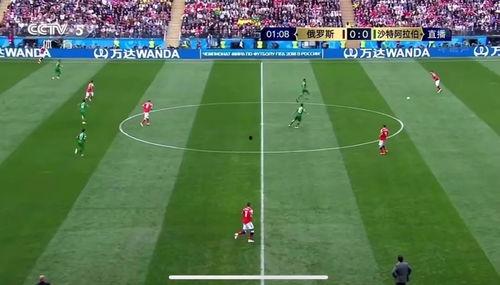 为足球吃瓜球迷,揭秘赛场背后的趣味故事