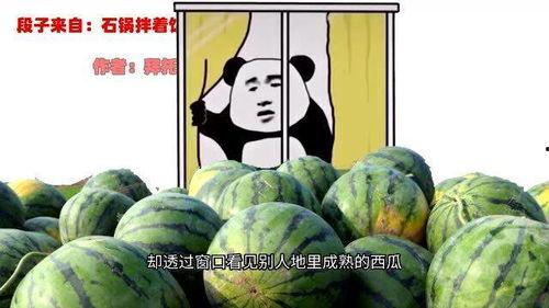 二表哥吃瓜,揭秘娱乐圈背后的那些事儿