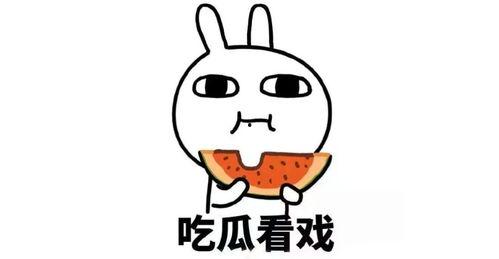 吃瓜同学,网络热词背后的文化现象