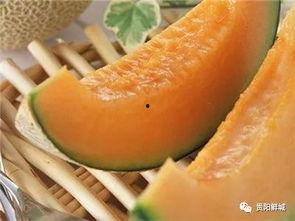 开哈密瓜吃瓜视频,感受夏日清凉美味瞬间