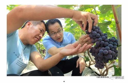 禹城摄影吃瓜,镜头下的美食瓜界风云