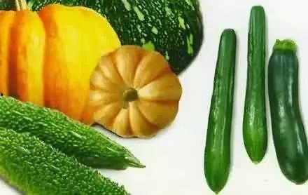 吃瓜厨房,揭秘娱乐圈幕后故事