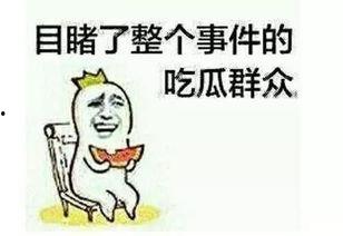 二狗吃瓜群,揭秘网络社交圈的趣味与争议