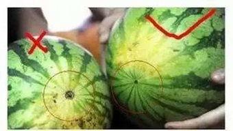 福州建行吃瓜,揭秘银行内部风波背后的真相