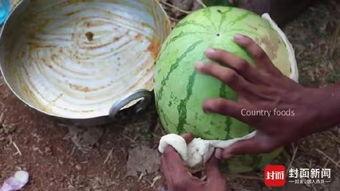 印度吃瓜事件,一场引发社会热议的网络狂欢与反思