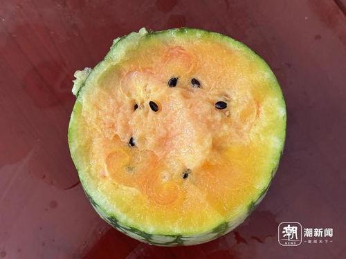 做了个梦吃瓜,一场吃瓜盛宴的奇幻之旅