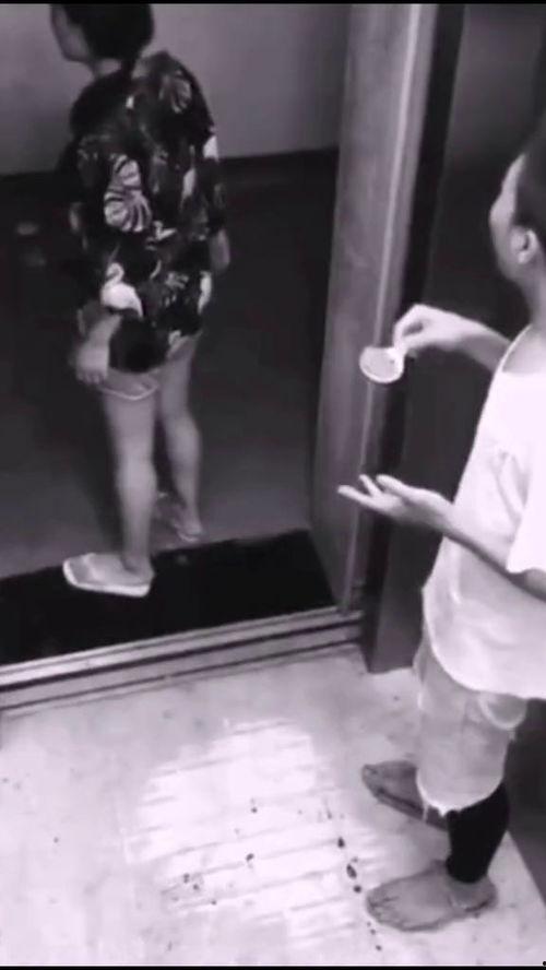 吃瓜群众瓜没了完整版,揭秘“吃瓜群众瓜没了”背后的故事与真相