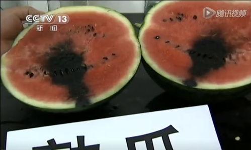 揭阳吃瓜曝光视频,视频曝光引发网友热议