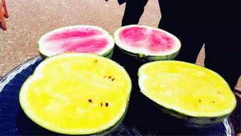 腾冲吃瓜爆料,揭秘当地热点事件背后的真相