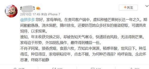 关于吃瓜的古文,品鉴瓜果之雅韵