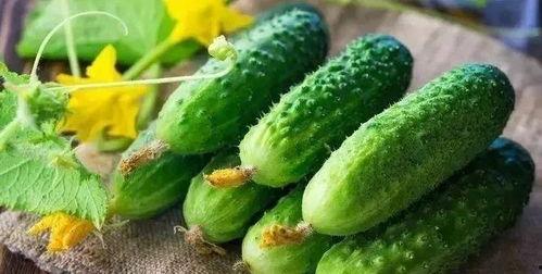 骨头吃瓜,探寻美食与文化的交融之旅