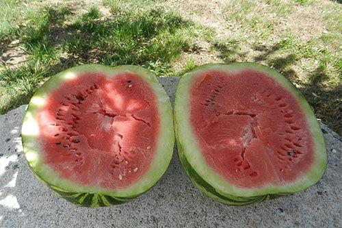 梦到姥姥吃瓜,姥姥吃瓜的温馨回忆