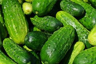 梦到有人给瓜吃