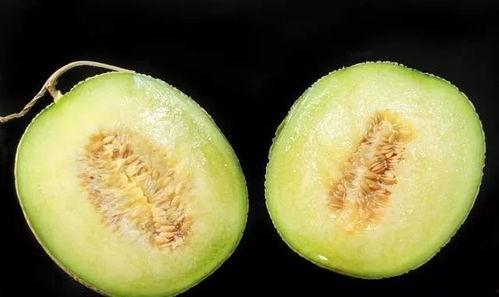 吃瓜为什么会便秘