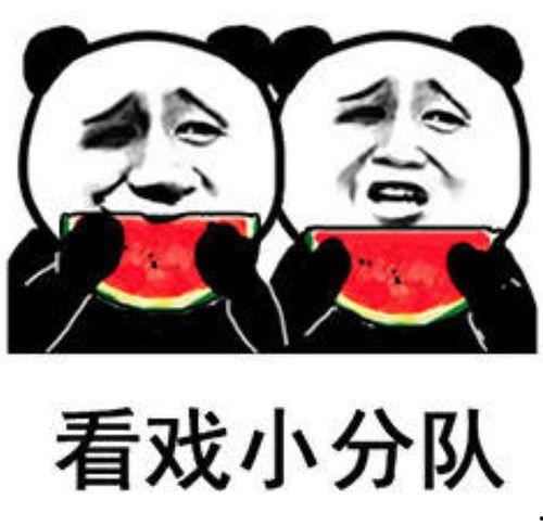 吃瓜安排,一场别开生面的吃瓜盛宴