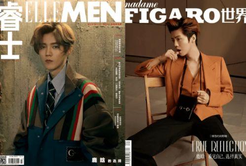 鹿晗今日吃瓜视频,揭秘娱乐圈幕后真相