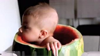 小孩吃瓜搞笑,小孩吃瓜搞笑瞬间大盘点